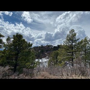 Meet your Posher, Ashlyn